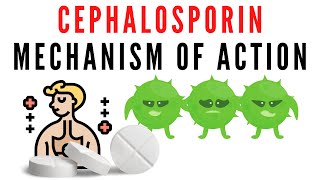 Cephalosporin explained  classification mechanism of action [upl. by Anallese61]