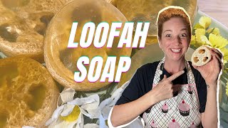 How to Make Loofah Soap  Easy Melt and Pour Soap Recipe [upl. by Baer420]