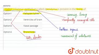 Ciliated columnar epithelium called ependyma is present in the lining of [upl. by Eira]