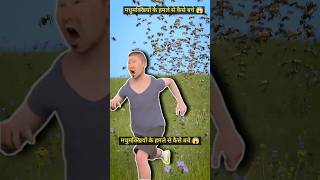 how to avoid bee attack 🐝😱 facts amazedfacts shortvideo sincefacts [upl. by Curley526]