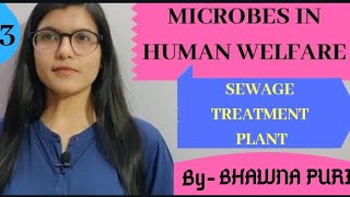 SEWAGE TREATMENT MICROBES IN HUMAN WELFARE CH10 CLASS12TH BIOLOGY [upl. by Ennazzus]