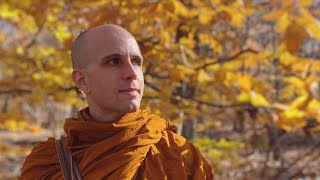 Purifying the Mind MN2 Sabbasava Sutta part 22 with Bhante Suddhaso [upl. by Enirrok319]