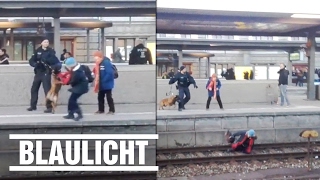 Polizeihund stößt Frau aufs Gleis  Schock am Nürnberger Bahnhof [upl. by Shanney754]