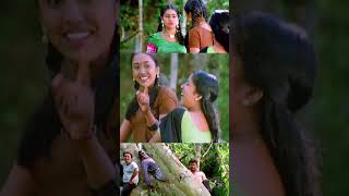 പെണ്ണിന്നു വലിയ ഫോമിൽ ആണല്ലോ Vellithira Movie  Prithviraj  Navya Nair  Kalabhavan Mani [upl. by Aniluap926]