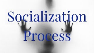 Socialization Process of a Child in Hindi  CTET  DSSSB  KVS [upl. by Ernaldus]