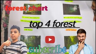 top 4 forest chart Awais Brothers VLOGS 1 [upl. by Airat]