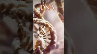 DNA  deoxyribonucleic acid double helix dna [upl. by Aseeral]