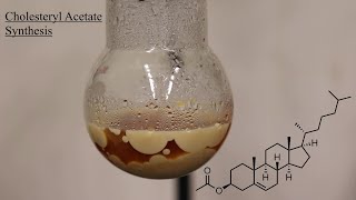 Cholesteryl Acetate Preparation Analysis and Polarimetry [upl. by Venice856]