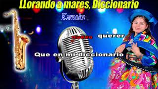 LLORANDO A MARES DICCIONARIO karaoke [upl. by Beal990]