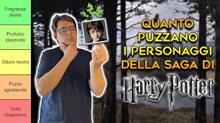 Quanto PUZZANO i personaggi di HARRY POTTER  TIER LIST [upl. by Morra910]