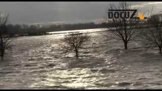 Hoogwater Maas Elsloo Meers Maasband Stein Urmond Berg Nattenhoven [upl. by Quill]