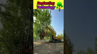 Replanting Technology 🔥technology ytshorts shorts facts plants trees [upl. by Meri]