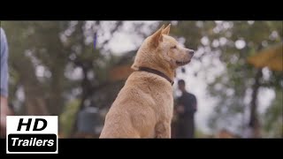 HACHIKO 2  Tráiler Oficial Español  2024 [upl. by Courtund386]