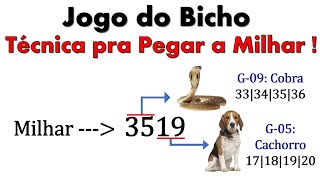 Jogo do Bicho  Técnica pra Pegar a Milhar [upl. by Pansie]