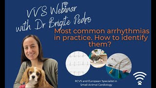 VVS Webinar Most common arrhythmias in practice How to identify them [upl. by Ardnu]