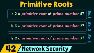 Primitive Roots [upl. by Virg21]