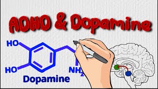 Understanding ADHD amp Dopamine Its More Than a Deficit [upl. by Cilegna]