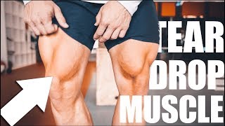 LEG DAY TRAINING  VASTUS MEDIALIS [upl. by Youngran94]