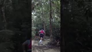 Bukit Kiara Trail 101 trailrunning running [upl. by Maller]