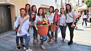 519 Day 33 西班牙 Antequera 安特克拉 → Córdoba哥多華 → Setenil de las Bodegas 嵌入岩石內的山村 → RONDA隆達 [upl. by Griffis]