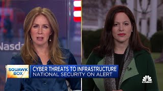 WH Cybersecurity Advisor Companies should consider the recent cyber attacks a wakeup call [upl. by Ronni]