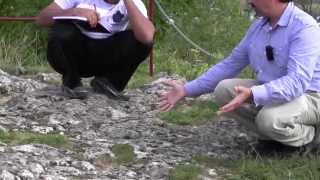 Day 2 Wallerstein Castle  spring mound carbonatestraverines and stromatolites [upl. by Osana]