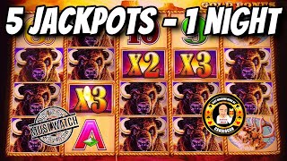 5 MUST SEE JACKPOTS  1 Night  Buffalo Gold Slot Machines [upl. by Yelrah]