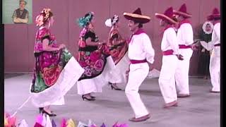 La zandunga con pasos básicos Baile folcklorico de Oaxaca México [upl. by Karoline706]