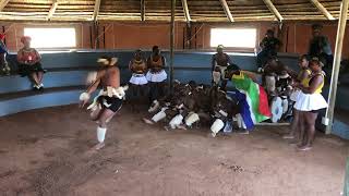 INDLONDLO ZULU DANCERS PERFORMANCE [upl. by Melany489]