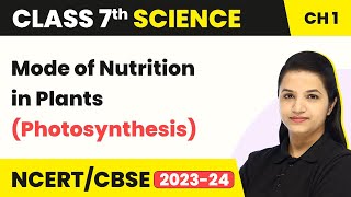 Class 7 Science Chapter 1  Mode of Nutrition in Plants Photosynthesis  Nutrition in Plants [upl. by Ellery645]