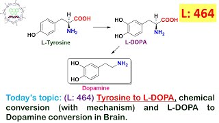 L 464Tyrosine to LDOPA mechanism amp LDOPA to Dopamine conversion in Brain by Dr Tanmoy Biswas [upl. by Byers]