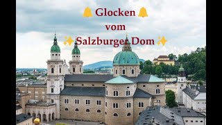 🔔SALZBURGSBG🔔 Festtagsplenum des Dom zu Salzburg✨ [upl. by Naelopan894]