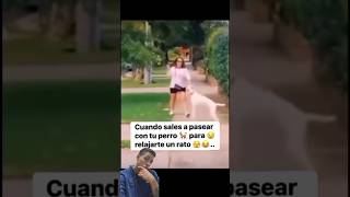 El perro canguro no existe…😰🤣humor [upl. by Matronna69]