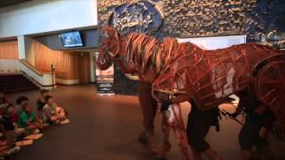 Meet Joey the War Horse puppet [upl. by Leipzig]