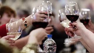 Wine Toasting In A Party Stock Video [upl. by Edrick319]