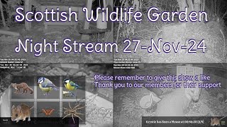 Night Stream November 27th 2024  Bird Feeders Wildlife Cameras Scotland UK from SWG [upl. by Firooc28]