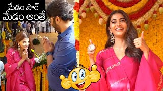 Pooja Hegde Visuals At SSMB28 Movie Launch Video  Mahesh Babu  Trivikram  Namrata Shirodkar [upl. by Abekam747]