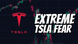 Tesla Stock EXTREME fear is here Great News Today [upl. by Iveel165]