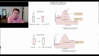 Energiediagrammen  Scheikundelessennl [upl. by Aham833]