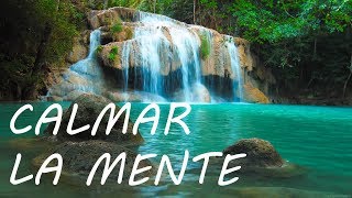 Relajación Música para Relajarse y Calmar la Mente  Música de la Naturaleza [upl. by Bernette]