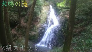 犬の鳴き声がする伝説の滝『犬鳴の滝』に行く！【山口県山口市】 [upl. by Karry]