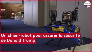 Un chienrobot pour assurer la sécurité de Donald Trump [upl. by Buckden105]