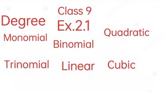 Polynomial Ex 21 Class 9 [upl. by Anits]