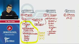 CIENCIAS BÁSICAS  Hematología Fisiología I [upl. by Publius]