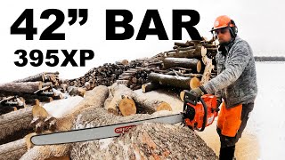 Chainsaw Day  Husqvarna 395 XP w42quot bar a along with a 592 XP and 390 XP [upl. by Elamef]