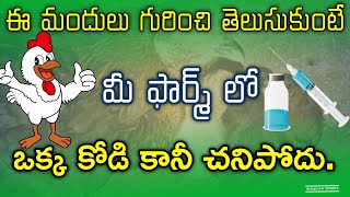 Complete Medicine Details  chick to finisher  Technical Farmers Telugu [upl. by Sidell80]