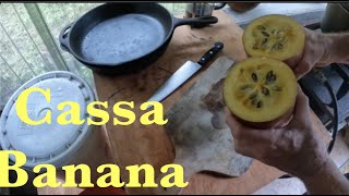 Cassabanana Sicana odorifera part 2 [upl. by Aseel774]