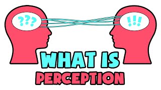 What is Perception  Explained in 2 min [upl. by Sass751]