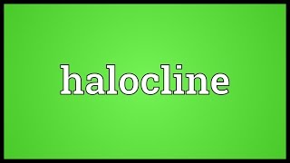 Halocline Meaning [upl. by Nillor]