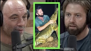 Forrest Galante Rediscovered Thought to be Extinct Caiman  Joe Rogan [upl. by Ayor]